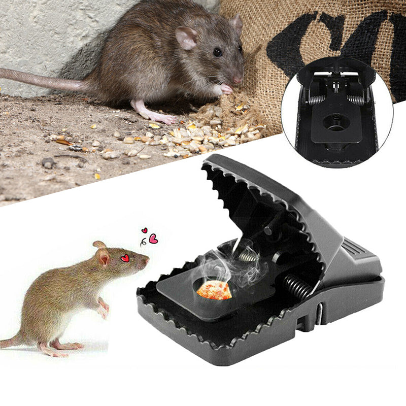 Pièges Réutilisables Attrape-rats